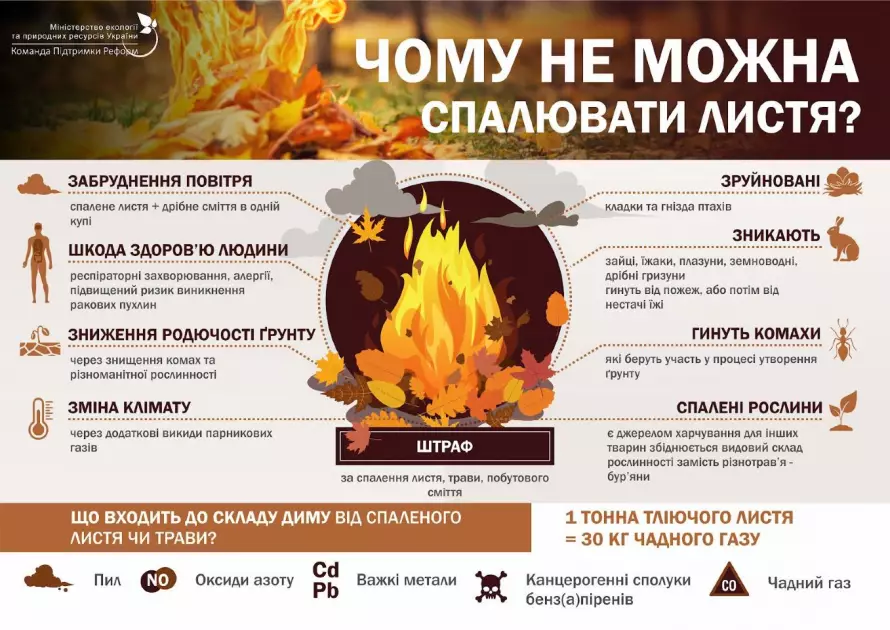 Киян штрафуватимуть до 6 тисяч гривень за спалювання листя та сміття - 1