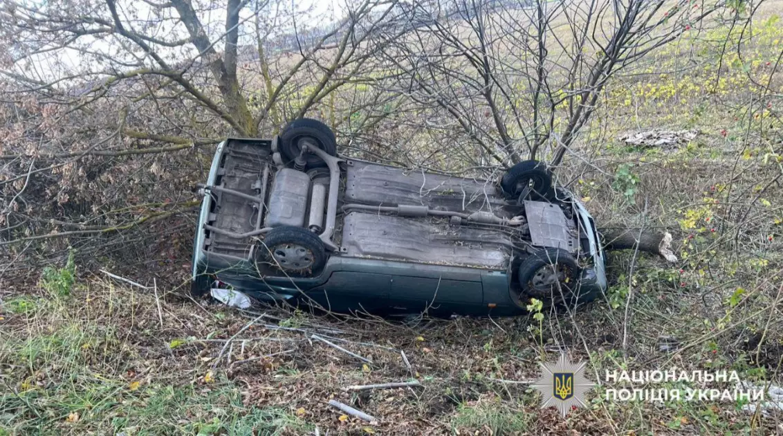 Аварія на Білоцерківщині: водійка втратила керування, постраждала з підлітком - 1