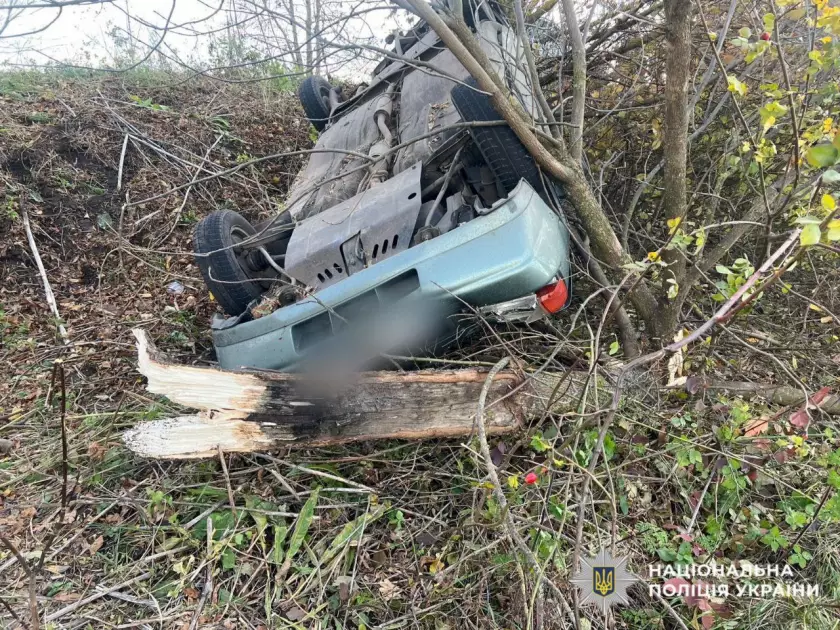 Аварія на Білоцерківщині: водійка втратила керування, постраждала з підлітком - 2