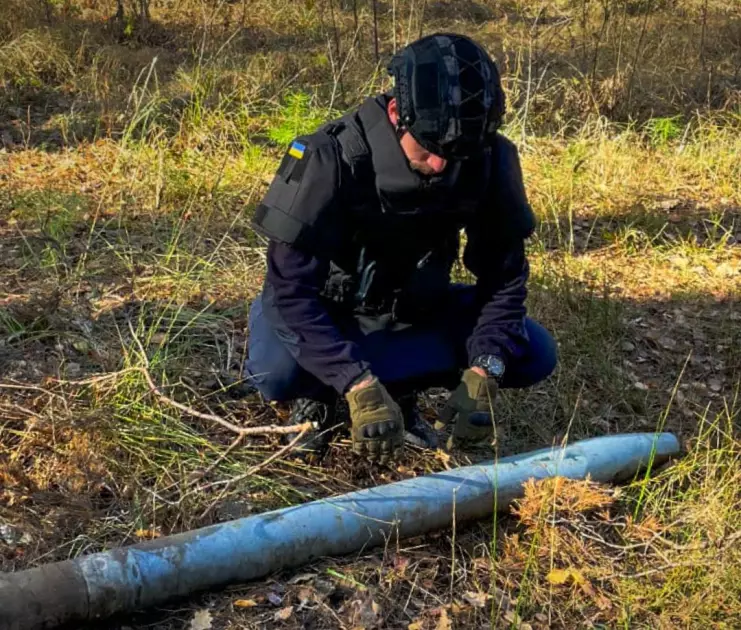 У лісі під Бучею знайшли «трофеї минулих воєн»: сапери знищили міну S-mine 35 і снаряди - 1