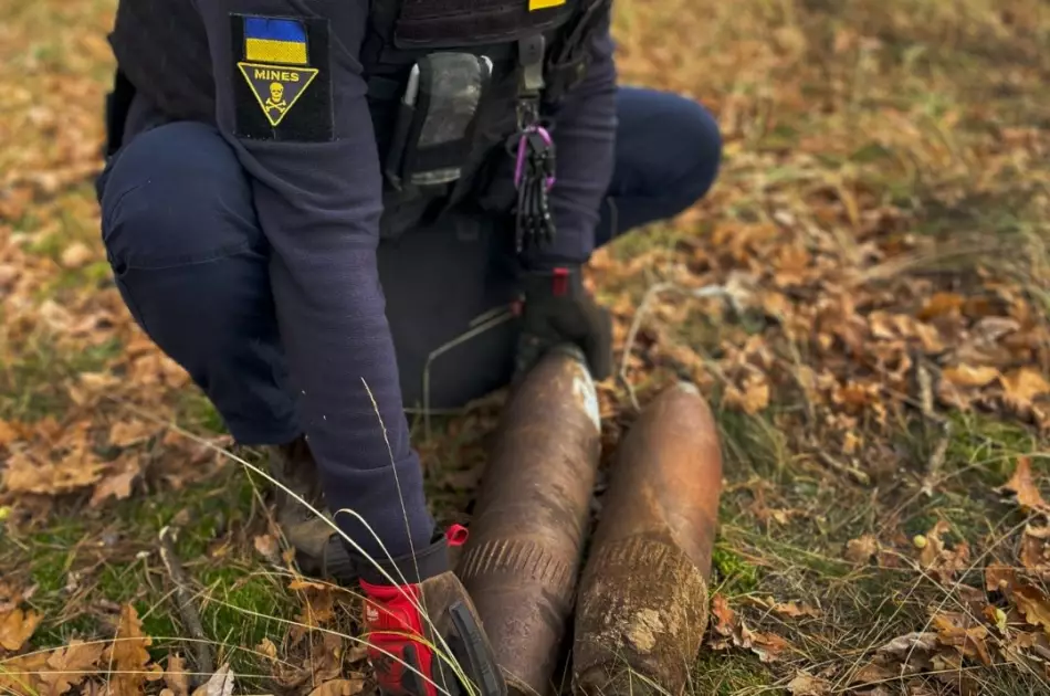 У лісі під Бучею знайшли «трофеї минулих воєн»: сапери знищили міну S-mine 35 і снаряди - 3