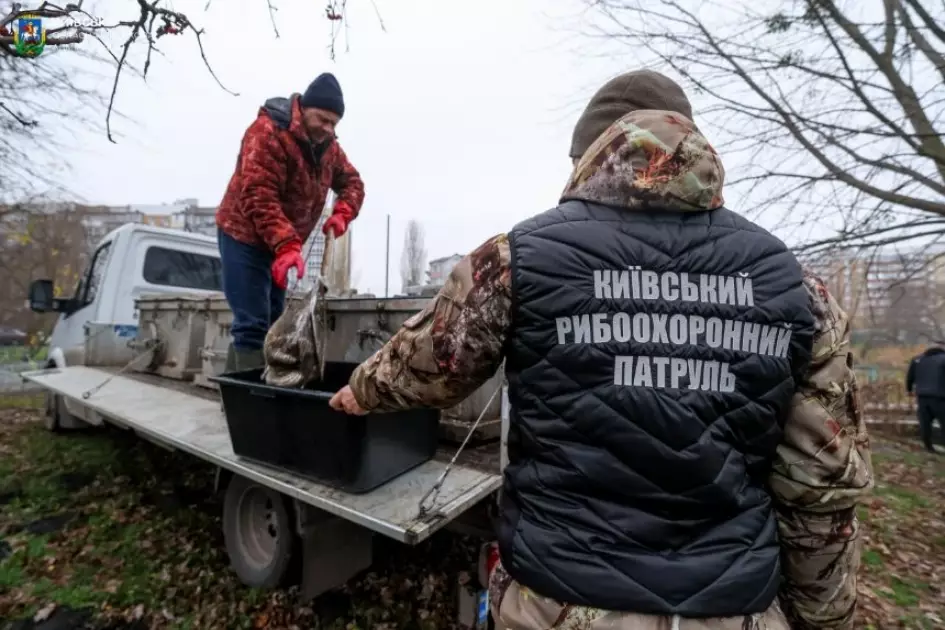 Озера Бородянки отримали нове дихання: громада заселила водойми 400 кг риби - 1