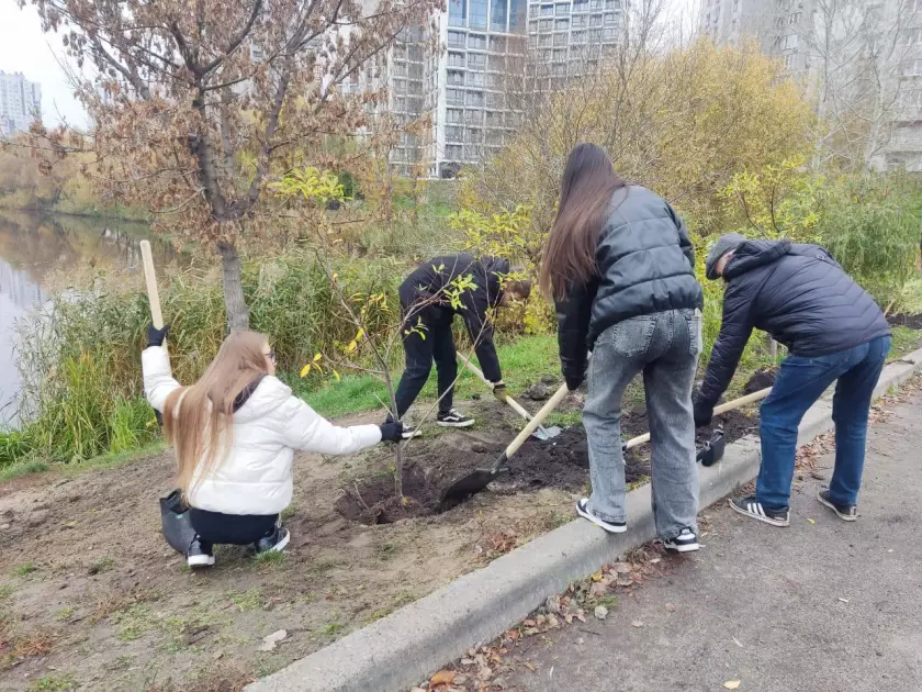 Затишок і чисте повітря: у парку «Позняки» висадили молоді верби - 1