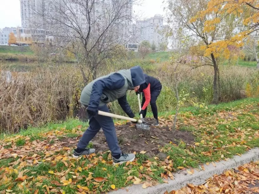 Затишок і чисте повітря: у парку «Позняки» висадили молоді верби - 3
