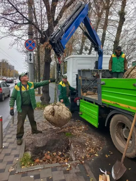 Київзеленбуд поповнює зелені зони: у Солом’янському висадили клени й липи - 1