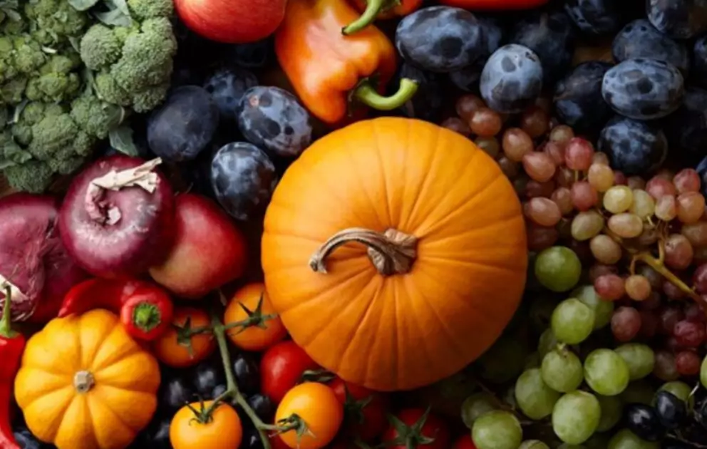 Де вигідно купити свіжі продукти в Києві цього вікенду: повний перелік ярмарків по районах - 1