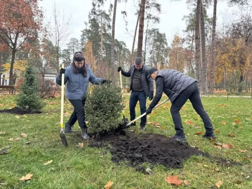 У Дарницькому районі озеленили парк Партизанської слави: школярі посадили 50 дерев - 1