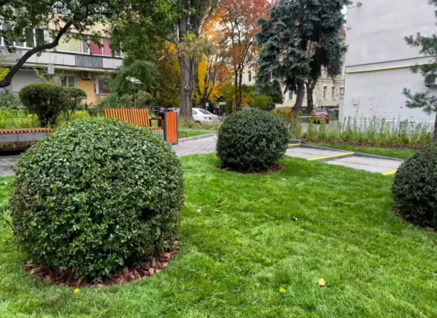 У центрі Шевченківського району відкрили новий інклюзивний мінісквер із понад 1600 рослин - 4