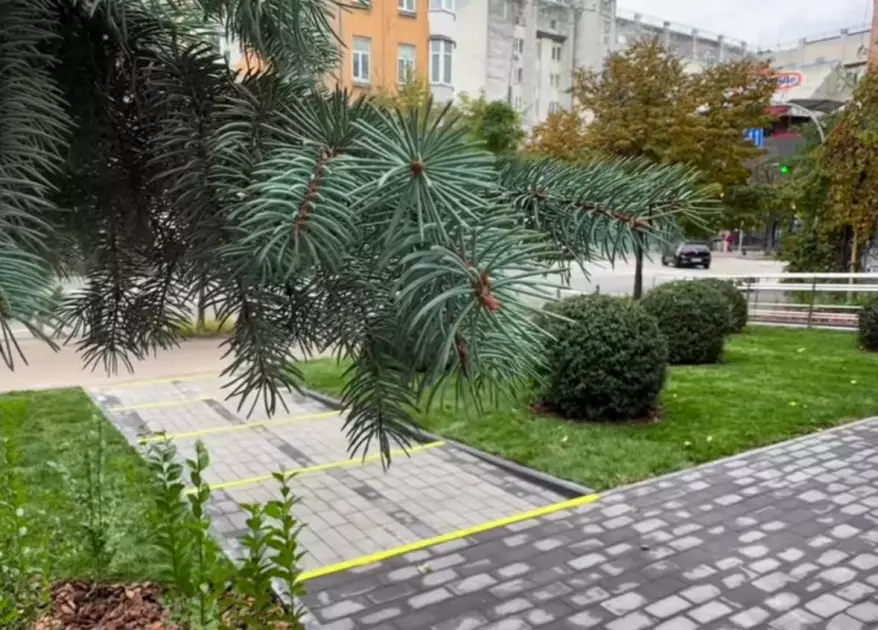 У центрі Шевченківського району відкрили новий інклюзивний мінісквер із понад 1600 рослин - 1