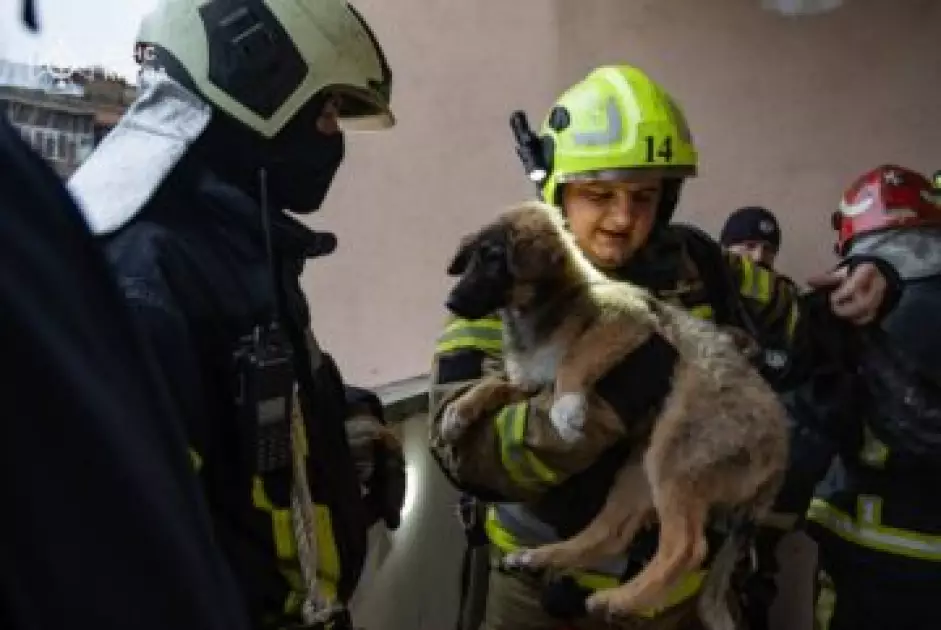 Через вибух зарядної станції в Києві загорілася квартира: рятувальники врятували двох людей - 2