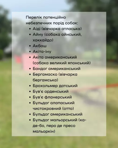 У Києві перевірять собак небезпечних порід: власників запрошують на обов’язкове тестування - 1