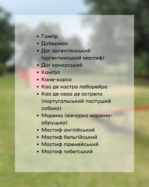 У Києві перевірять собак небезпечних порід: власників запрошують на обов’язкове тестування - 3