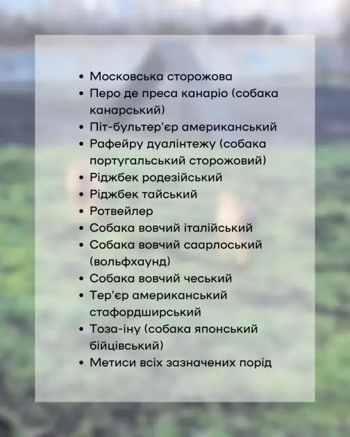 У Києві перевірять собак небезпечних порід: власників запрошують на обов’язкове тестування - 4