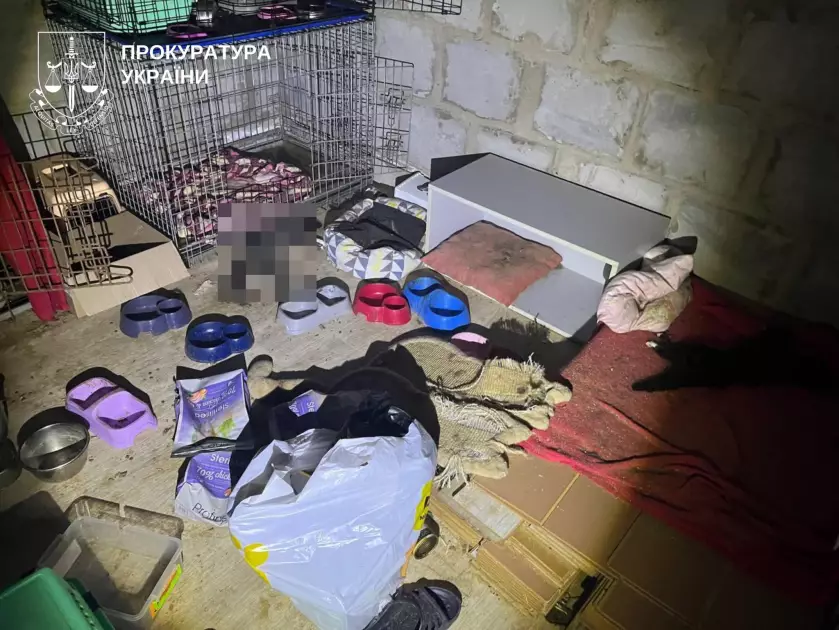 Масове жорстоке поводження з тваринами: на Обухівщині врятували десятки котів - 4