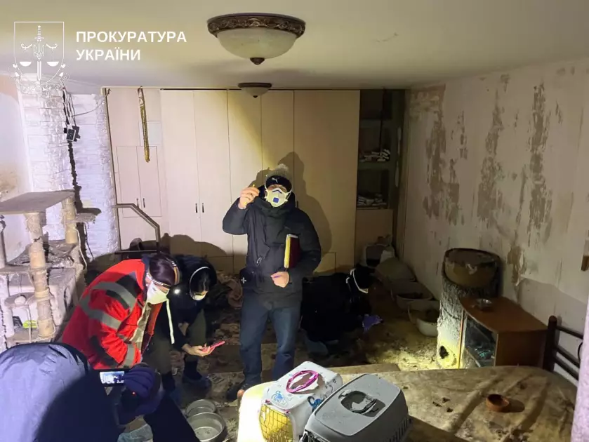 Масове жорстоке поводження з тваринами: на Обухівщині врятували десятки котів - 1
