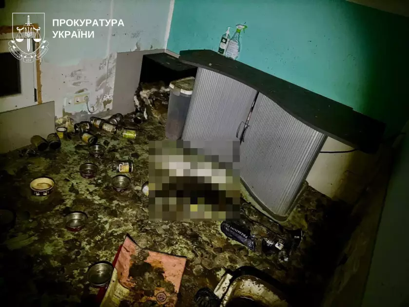 Масове жорстоке поводження з тваринами: на Обухівщині врятували десятки котів - 2