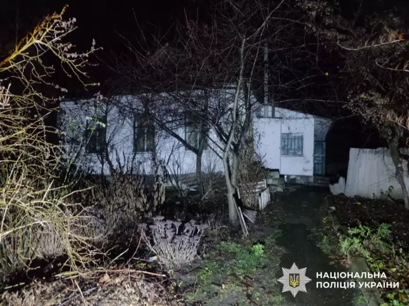 П’яна сварка на Київщині: чоловік ударив знайомого сокирою по голові - 1
