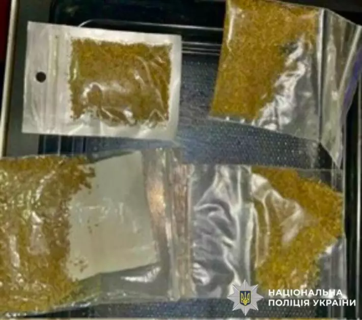 Підпільна нарколабораторія в підвалі: на Броварщині викрили організовану групу - 2