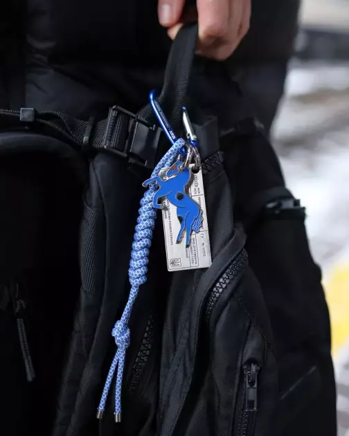 Блакитний коник та металевий квиток: Укрзалізниця випустила новий благодійний дроп, який захоче кожен - 2