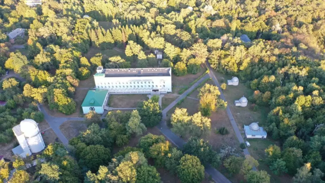 Вікові дуби під загрозою: прокуратура вимагає скасувати забудову в Голосіївському районі - 1