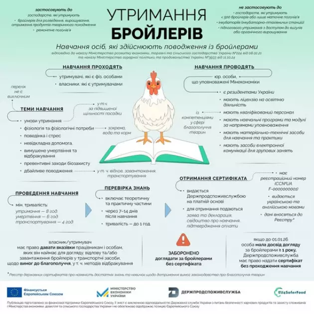 Нові правила для бройлерів з 1 січня: що змінилося для фермерів і птахофабрик - 1