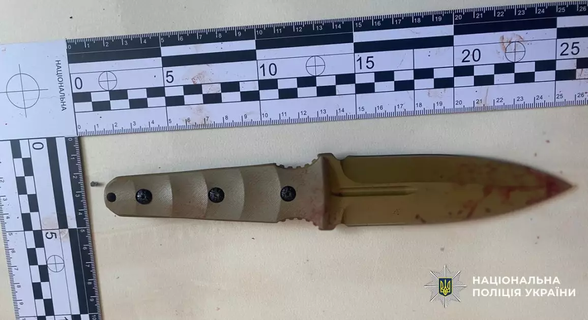 Напад у школі Києва: дев’ятикласнику повідомили про підозру в замаху на вбивство - 1