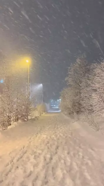 Крижана казка: мережу підкорюють фото засніженого Києва, від яких перехоплює подих - 3