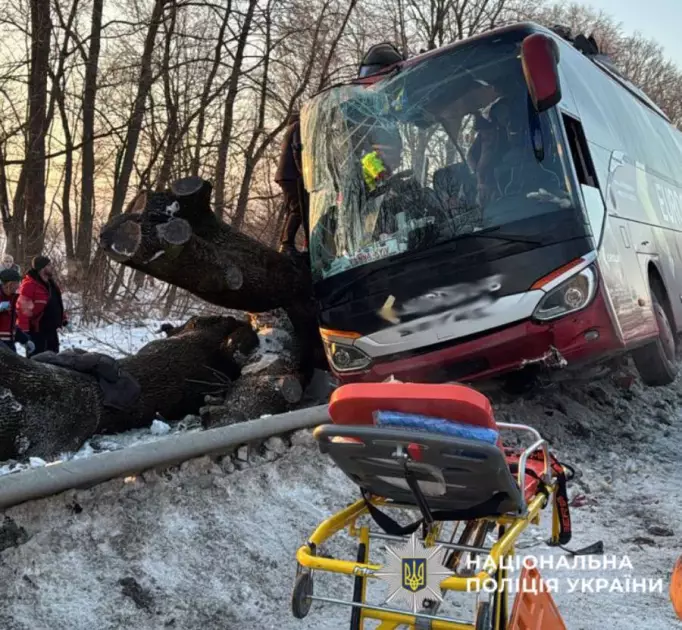 Аварія на маршруті «Відень — Київ»: автобус врізався в дерево на Львівщині, семеро пасажирів у лікарні - 1