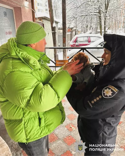 Порятунок під час морозу: в Ірпені поліцейська розшукала власників загубленого той-пуделя - 1