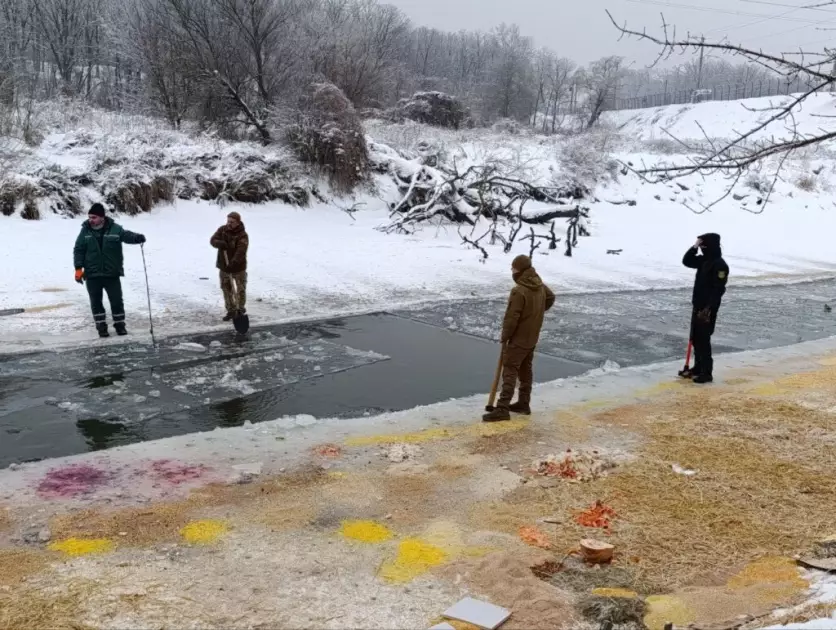 В Ірпені рятують птахів від морозів: для качок і лебедів розколюють лід на водоймах - 1