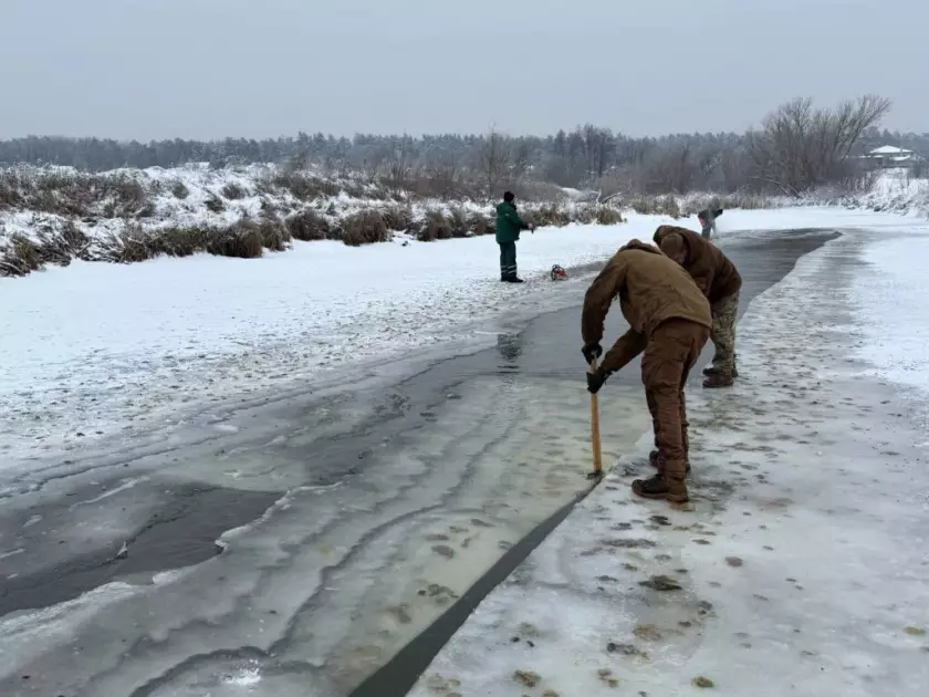 В Ірпені рятують птахів від морозів: для качок і лебедів розколюють лід на водоймах - 2