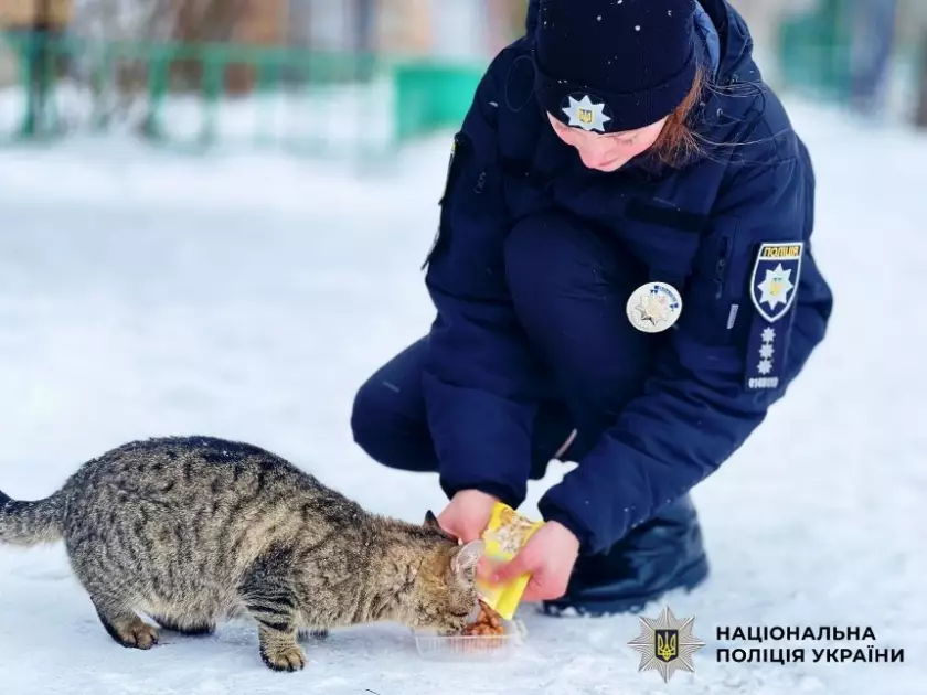 Коли служба — це не лише про порядок: як поліцейські Київщини рятують безпритульних тварин узимку - 1