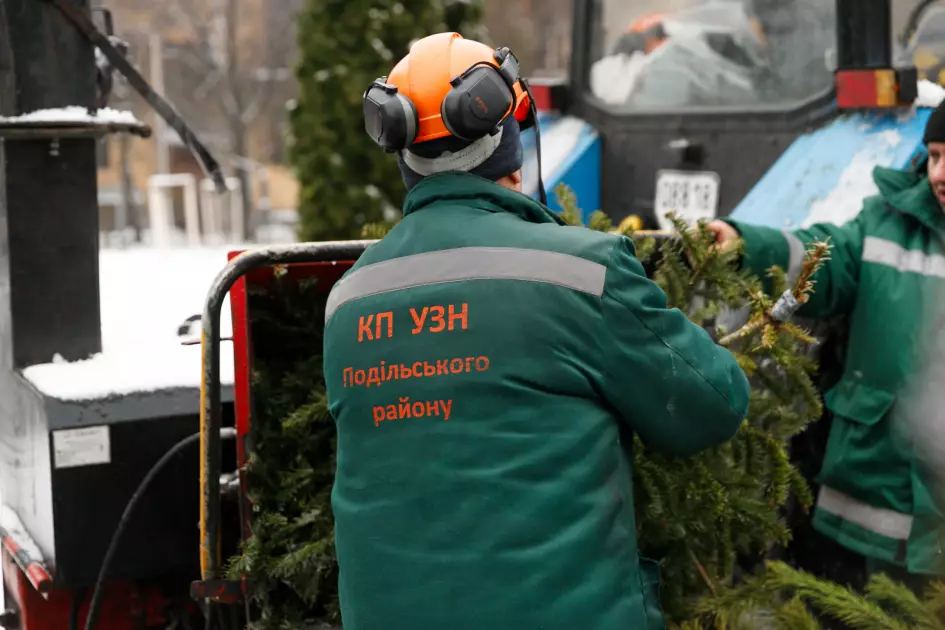 Ялинковий рекорд у столиці: кияни здали 7 тисяч дерев на переробку - 1