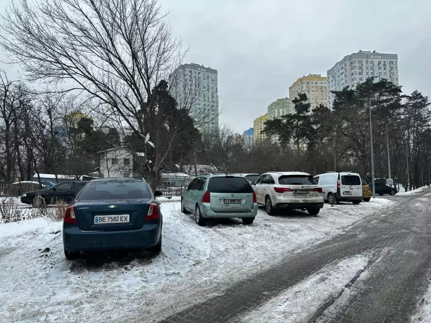 Дощовий садок у сквері на Воскресенській окупували автомобілісти - 1