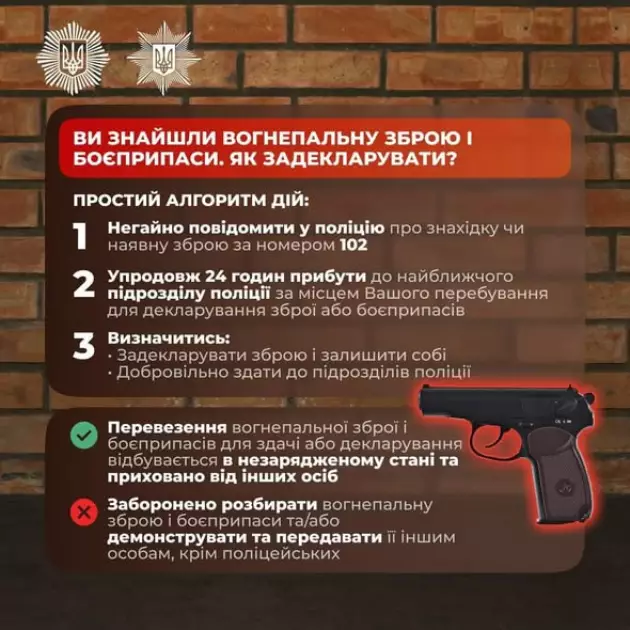 Київська область легалізувала понад 230 одиниць вогнепальної зброї - 1