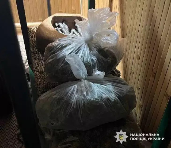 У Києві викрили наркозбут «із рук у руки» та поштою: вилучено канабісу на 500 тис. грн - 4