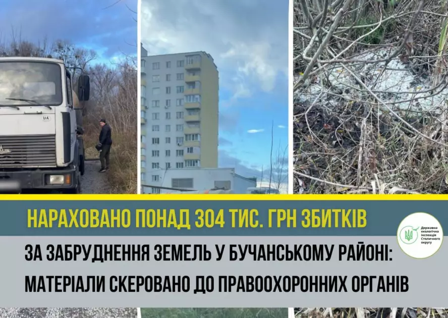 Нечистоти в ґрунт: у Бучанському районі зафіксували забруднення на понад 300 тисяч гривень - 3