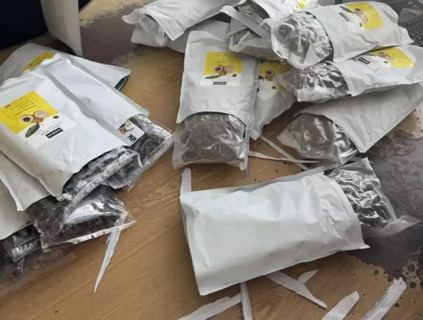 Вівчарка Нора знайшла канабіс у посилці з фруктами на Київщині - 1