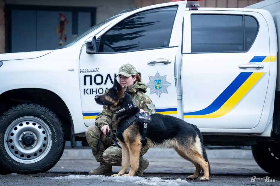 Чотирилапі герої Києва: як служать собаки та кінологи столичної поліції - 6