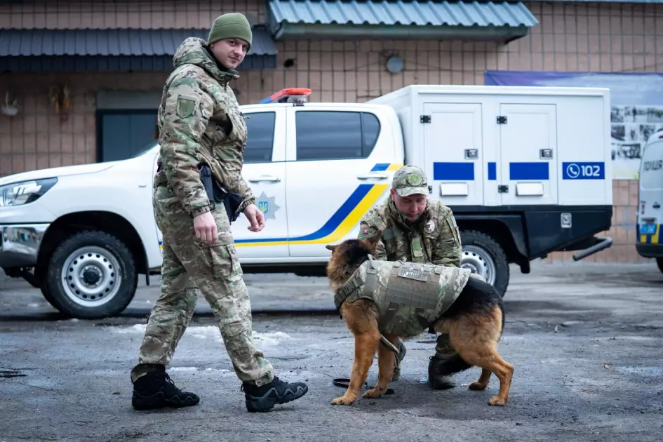 Чотирилапі герої Києва: як служать собаки та кінологи столичної поліції - 5