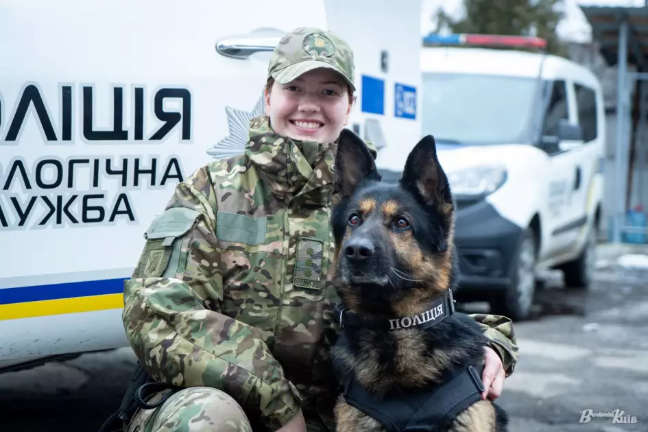 Чотирилапі герої Києва: як служать собаки та кінологи столичної поліції - 2