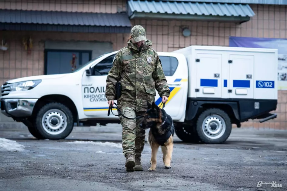 Чотирилапі герої Києва: як служать собаки та кінологи столичної поліції - 3