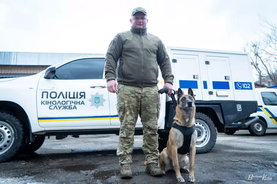 Чотирилапі герої Києва: як служать собаки та кінологи столичної поліції - 1