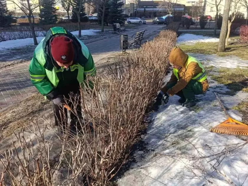 У Києві стартувала весняна підготовка парків і скверів: що зараз роблять озеленювачі - 3