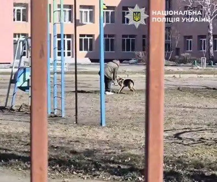 Киянка намагалася «виховати» собаку побиттям: їй загрожує штраф - 1