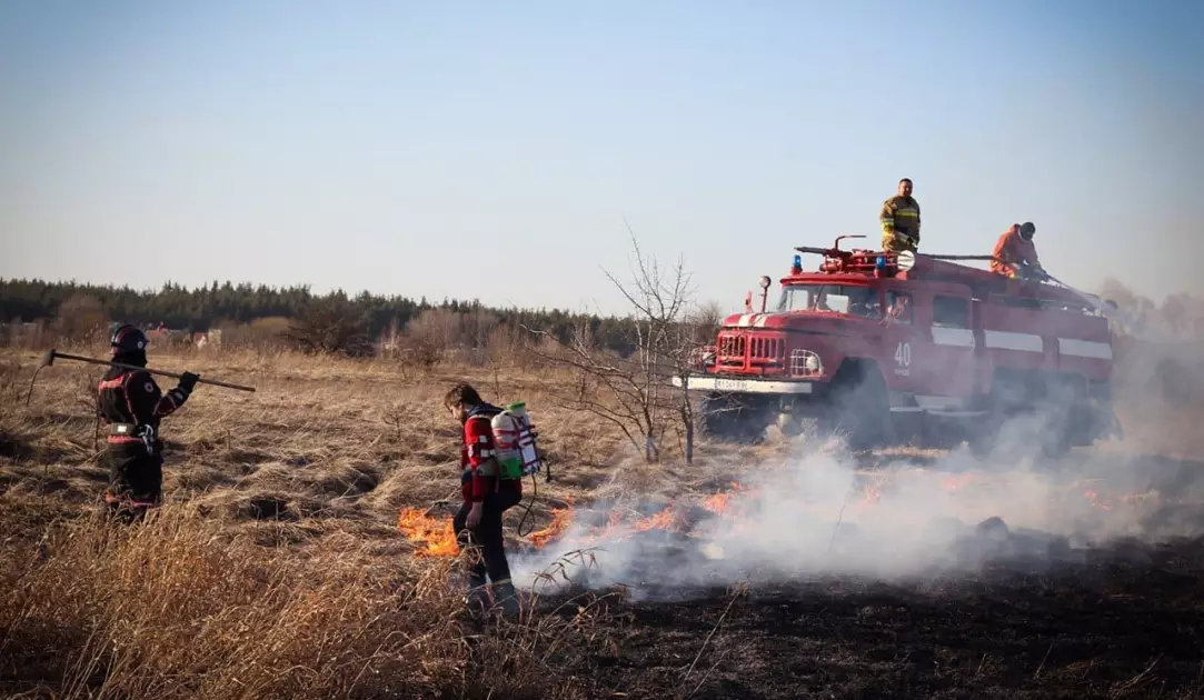 На Київщині за добу загасили 19 пожеж сухостою: вигоріло майже 30 гектарів - 1