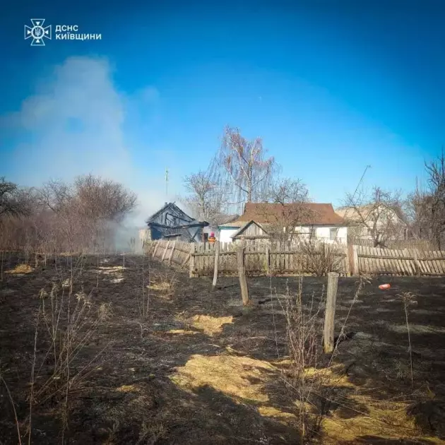 На Київщині подружжя спопелило пів гектара землі та сусідський сарай - 2