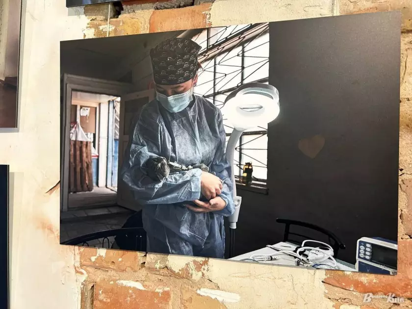 «До світла»: у Києві відкрили фотовиставку Ліберових про героїзм енергетиків та рятувальників цієї зими - 6