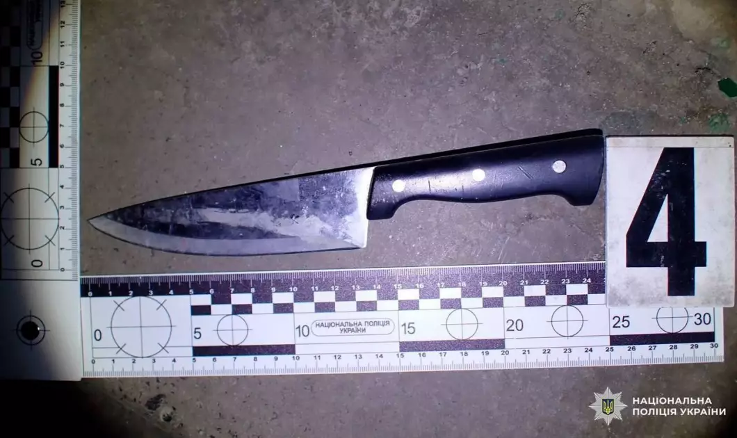 У Києві затримали двох зухвалих нападників, які погрожували ножем пенсіонерці - 1