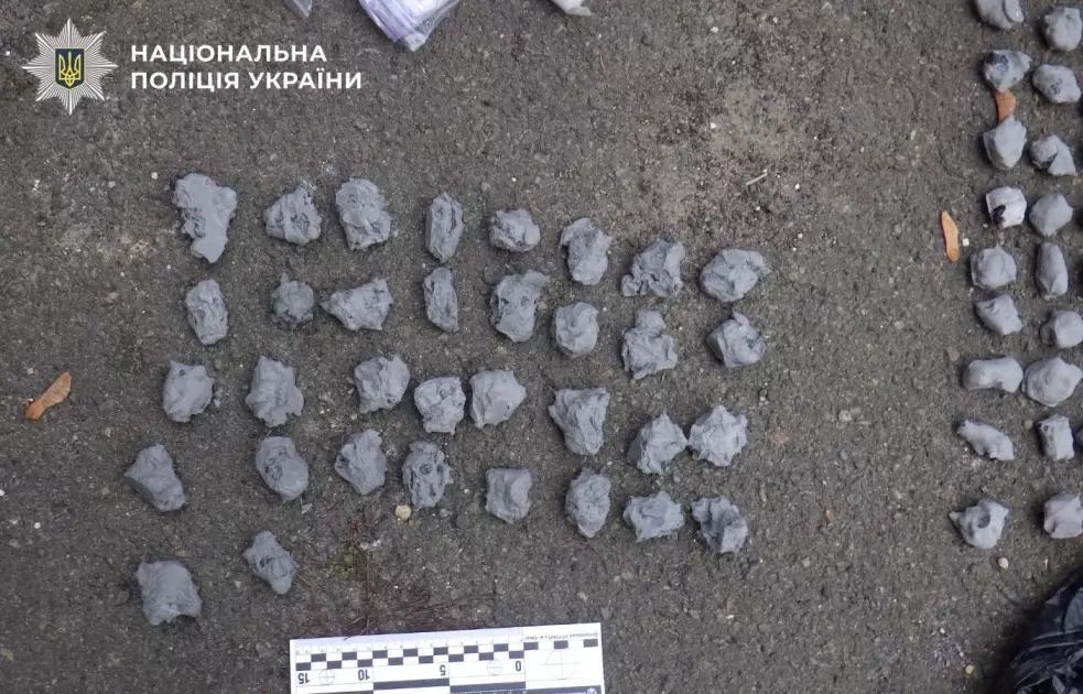 Сімейка з Дніпровського району Києва постане перед судом за наркоторгівлю - 1
